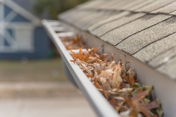 Leaf Barrier Installation in East Lansing